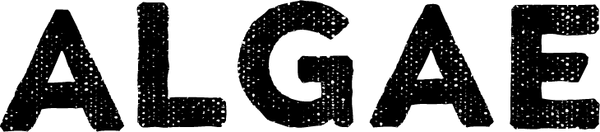 ALGAE